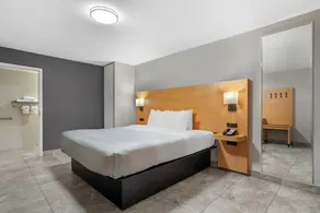 Quality Inn and Conference Center Tampa-Brandon - Habitación