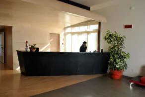 Althea Palace Hotel - Réception