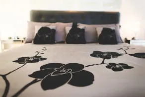 Travelodge by Wyndham Drummondville - Camera