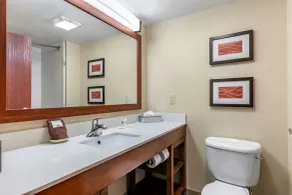 Comfort Inn & Suites Orlando North - Baño