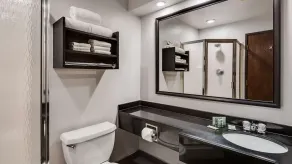 Best Western Lapeer Inn - Baño