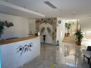 Alesya Otel - Reception