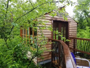 Savannah's Meadow - Room
