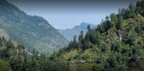 Wilderness Home Jibhi - Aerial view