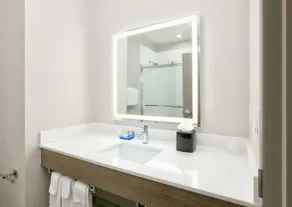 Holiday Inn Express & Suites North Dallas at Preston by IHG - Salle de bain