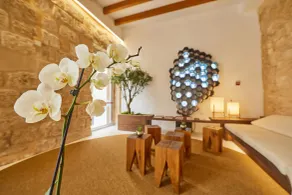 Santa Clara Urban Hotel & Spa - Réception