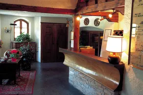 Hotel Del Viale - Reception