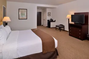 Holiday Inn Madison at The American Center by IHG - Chambre