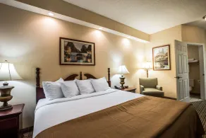 Quality Inn Kingsport South - Chambre