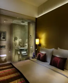 Park Plaza Shahdara - Chambre