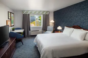 Irish Cottage Inn & Suites - Chambre