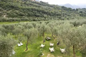 Hotel Garnì Orchidea - Vue de la chambre