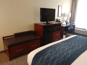 Comfort Inn Ocala Silver Springs - Chambre
