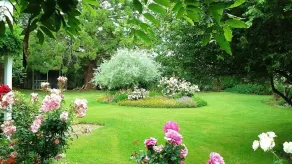 Belmont Homestead - Ausblick vom Zimmer