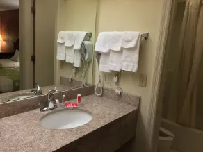 Quality Inn University Area - Salle de bain