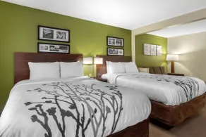 Sleep Inn & Suites Allendale - Chambre