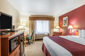 Quality Inn Downtown Convention Center - Room
