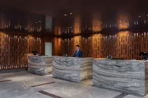 Radisson Blu Hotel & Spa, Istanbul Tuzla - Reception