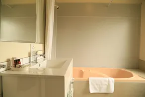 Drury Motor Lodge - Bathroom