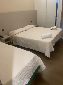 Hotel Royal Plaza - Chambre