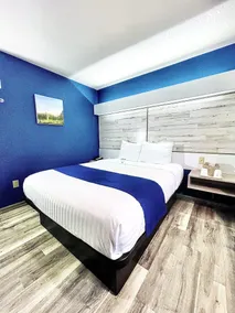 Microtel Inn & Suites Tomah - Chambre