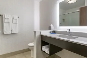 Holiday Inn Express & Suites - Lancaster - Mount Joy by IHG - Salle de bain