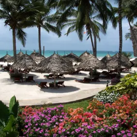 Pinewood Beach Resort and Spa - View from room