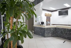 Hotel Ilha da Madeira - Reception