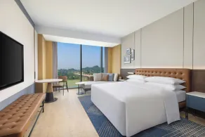 Four Points by Sheraton Leshan - Habitación