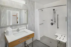 Hampton Inn & Suites Detroit/Sterling Heights - Bathroom