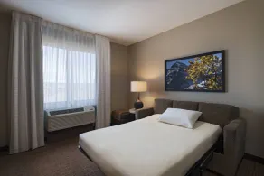 Fairfield Inn & Suites by Marriott Colorado Springs East - Room