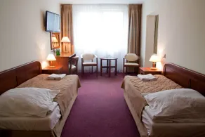 Hotel Zawisza - Room