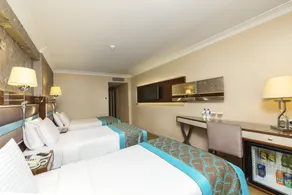 Grand Yavuz Hotel Sultanahmet - Room