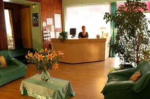Hôtel des Pyrénées - Hall