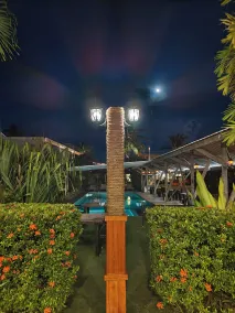 Reef Beach Resort - Piscine