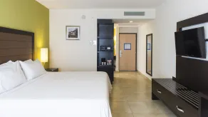 Holiday Inn Express Xalapa by IHG - Chambre