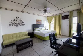 Suites & Apartments San Benito - Zona Rosa - Room