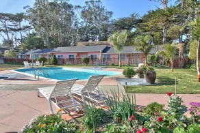 Butterfly Grove Inn - Piscine