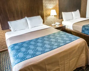 Rodeway Inn & Suites Wilmington North - Chambre