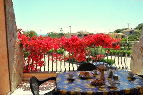 Palm Village - Vistas desde la habitación
