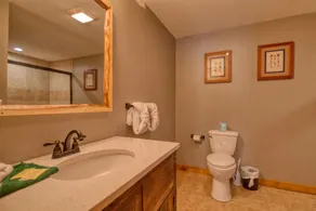 Black Bear Cinema #4819 - Salle de bain