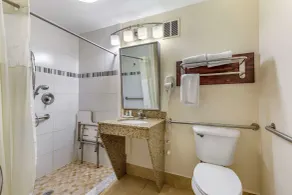 Quality Inn Windsor Mill - Baltimore - Salle de bain