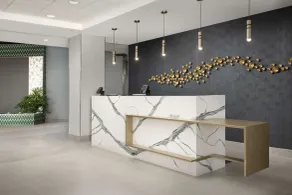 Embassy Suites by Hilton Dulles North Loudoun - Réception