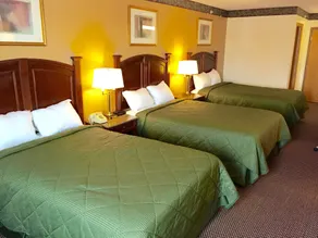 Executive Inn and Suites - Chambre