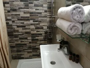 Roza's Home and Studios - Baño