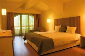 Tsarsko Selo Spa Hotel - Room