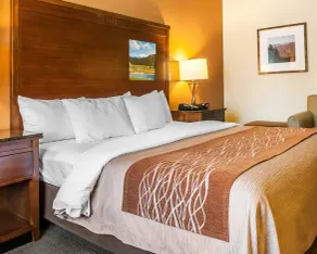 Comfort Inn & Suites Midtown - Chambre