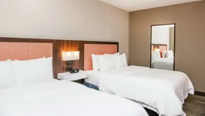 Hampton Inn Erie-South - Chambre