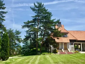 KRALjEVI KONACI ZLATIBOR - View from room