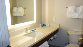 Holiday Inn Express Winfield - Teays Valley by IHG - Salle de bain
